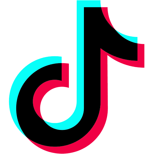 TikTok icon